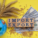 Why Export Risk begins long before the Shipment leaves India