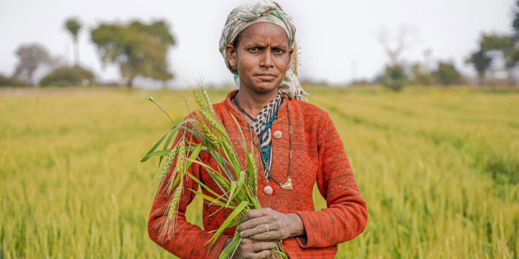 Residue-Free Agriculture
