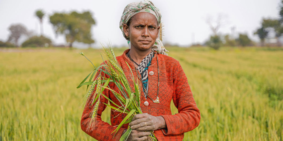 Residue-Free Agriculture