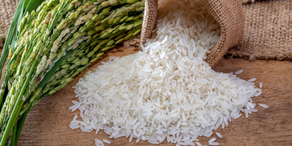 Rice Export Risk Starts in the Field, Not the Port