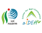a-IDEA