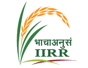 Indian Institute of Rice Research